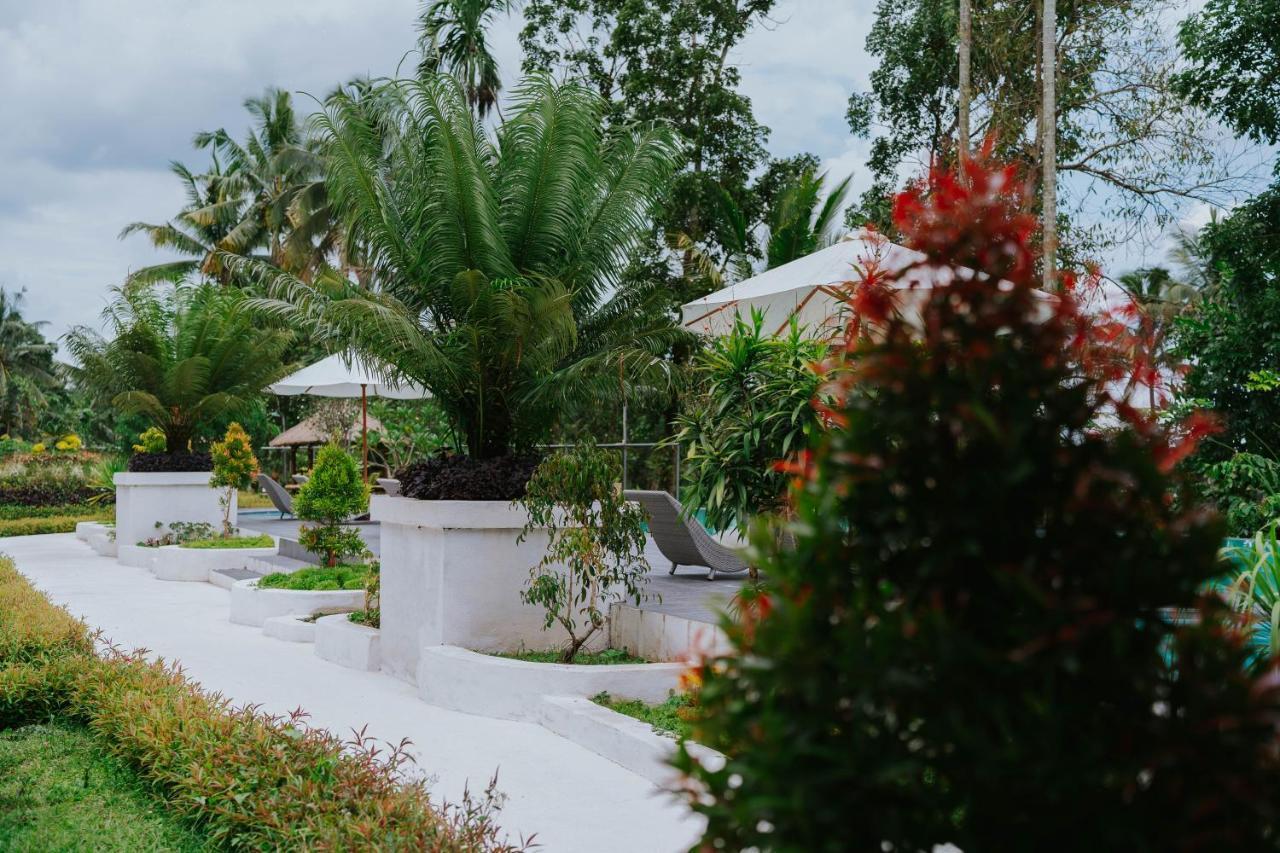 Nirvana Hotel